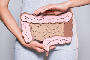 súde intestinal