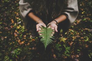 natureza