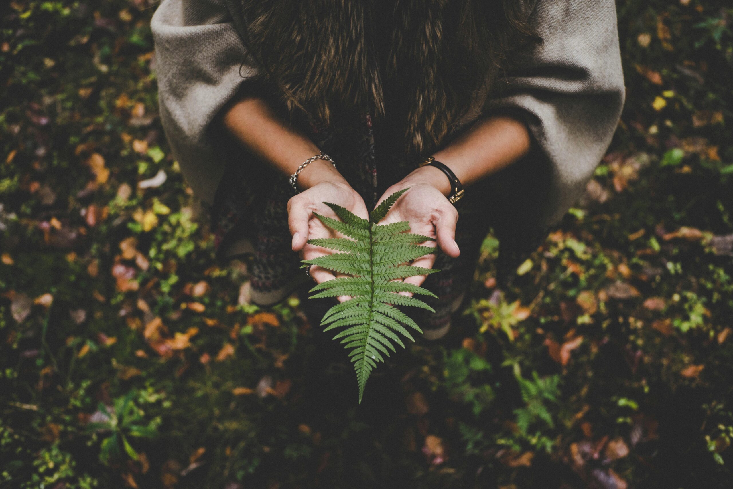 natureza