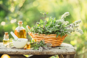 plantas medicinais ayurverdicas